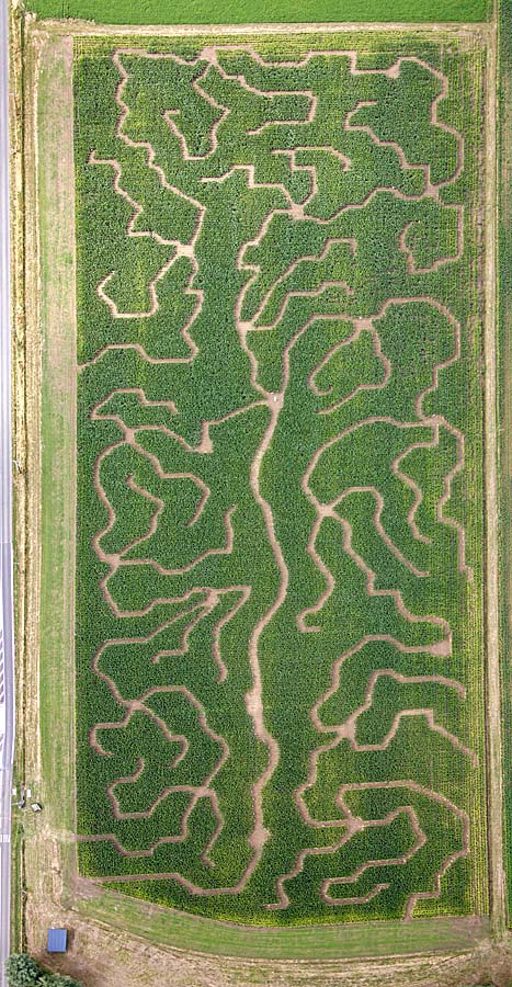 60labyrinthe-mais-0508