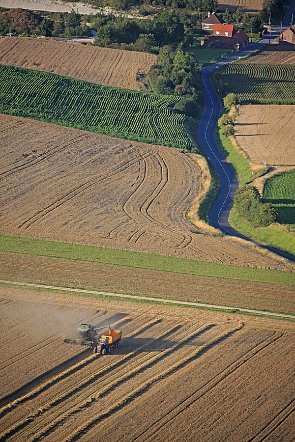 62agriculture-1-06711