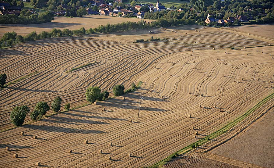 62agriculture-2-06711