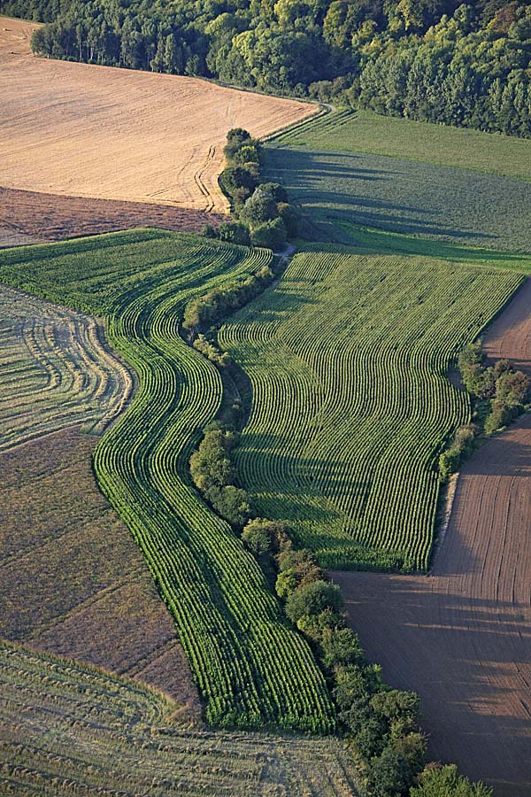 62agriculture-3-06711