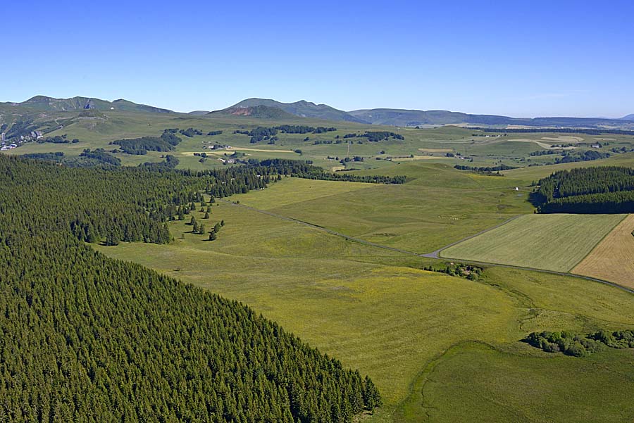 63agriculture-auvergne-11-0618