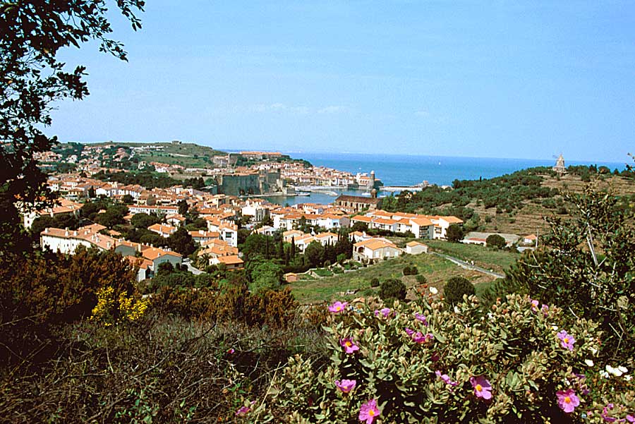66collioure-6-e02