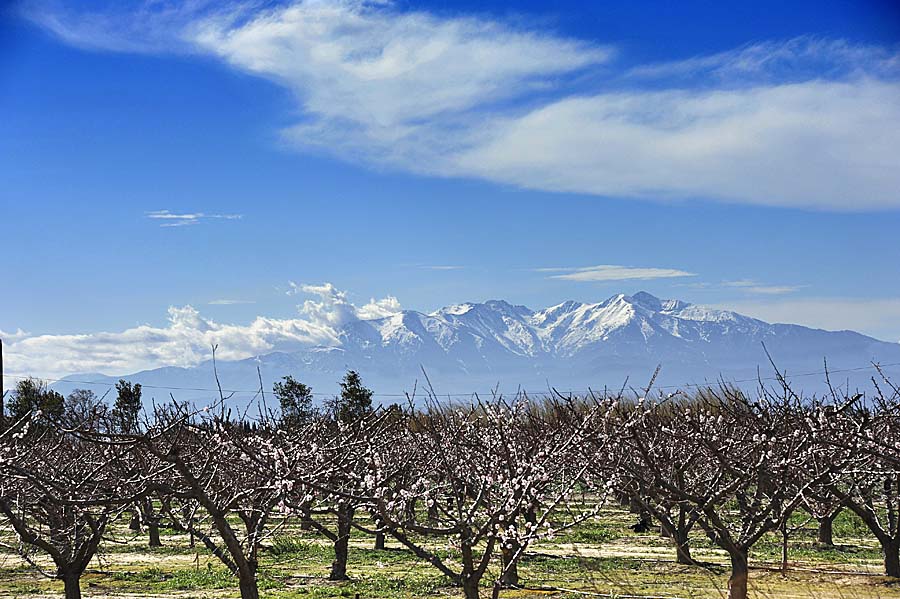 66le-canigou-12-0211