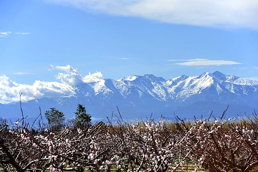 66le-canigou-13-0211