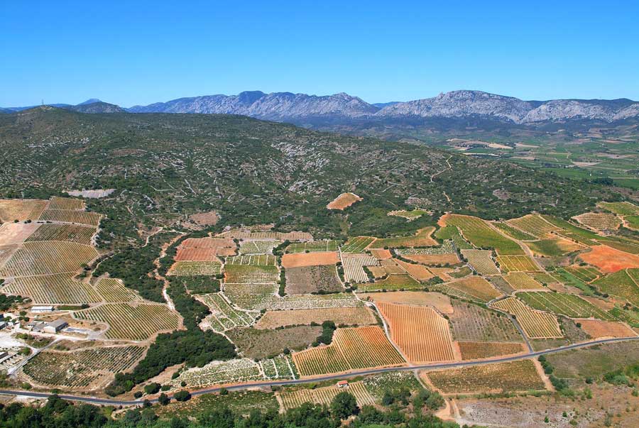 66vigne-corbieres-4-0806