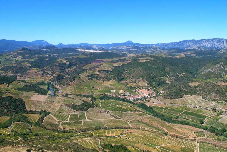 66vigne-corbieres-5-0806