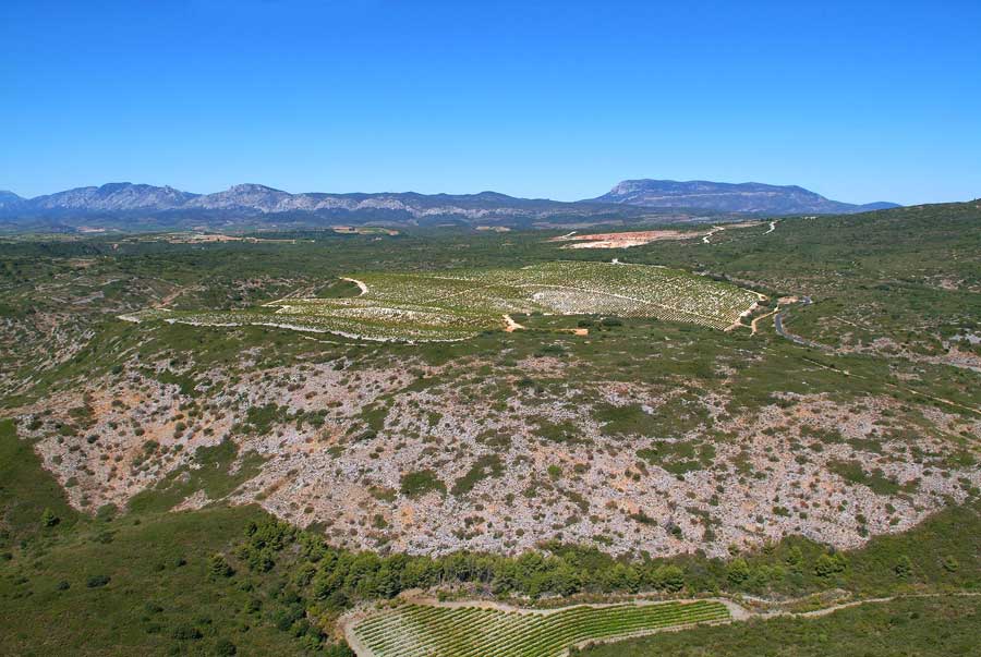 66vigne-corbieres-9-0806