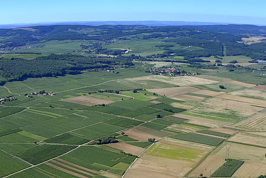 71agriculture-saone-et-loire-11-0816