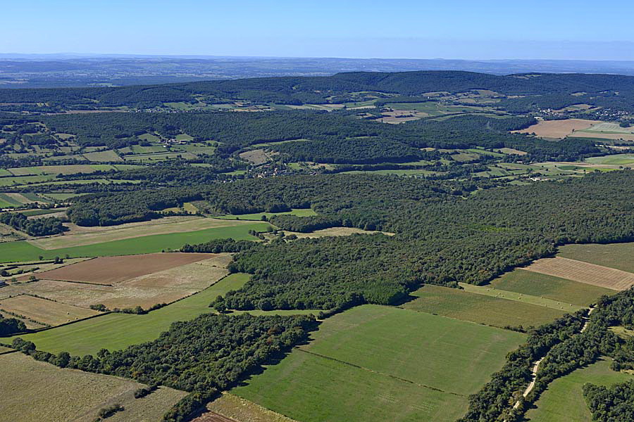 71agriculture-saone-et-loire-13-0816