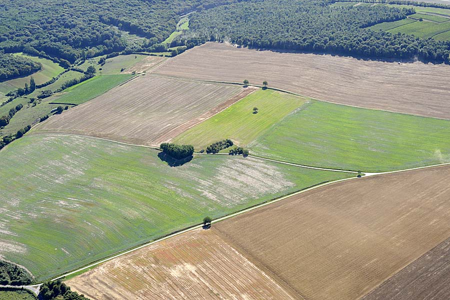 71agriculture-saone-et-loire-25-0816