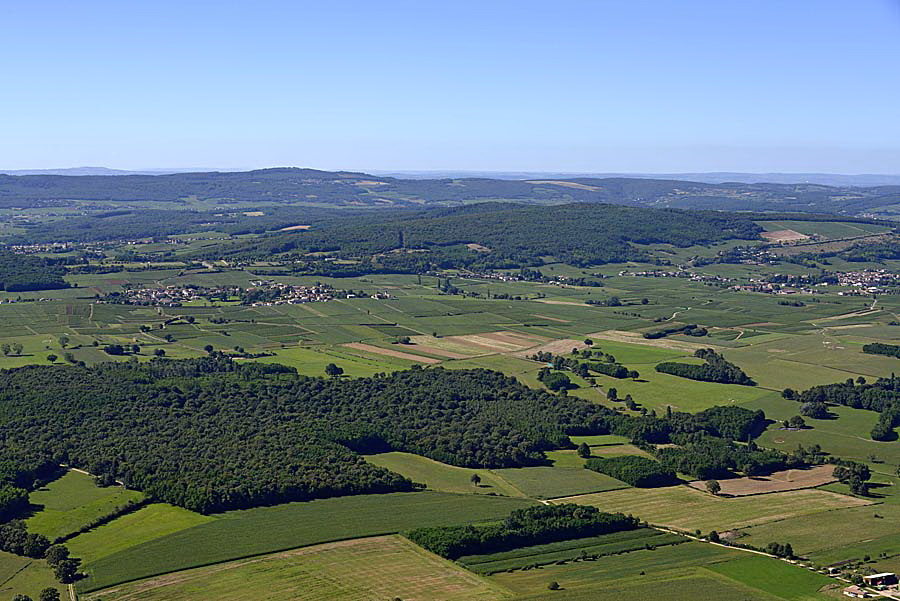 71agriculture-saone-et-loire-3-0816