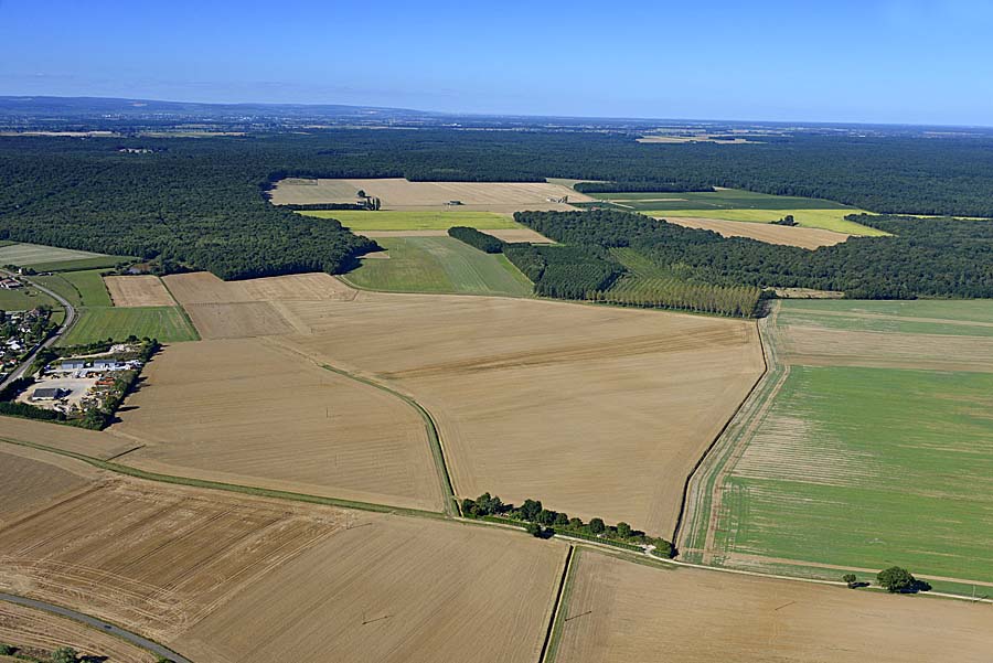 71agriculture-saone-et-loire-33-0816