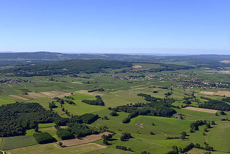 71agriculture-saone-et-loire-5-0816