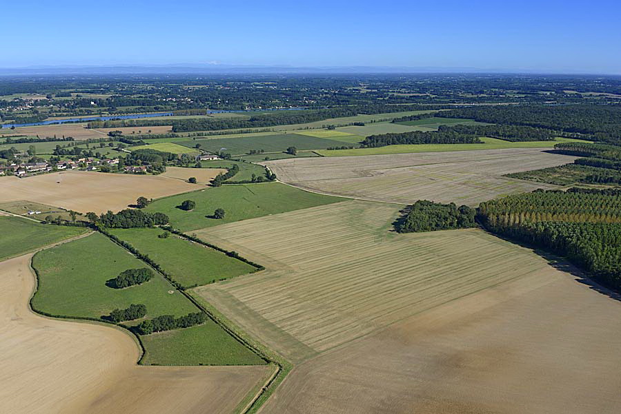 71agriculture-saone-et-loire-52-0816