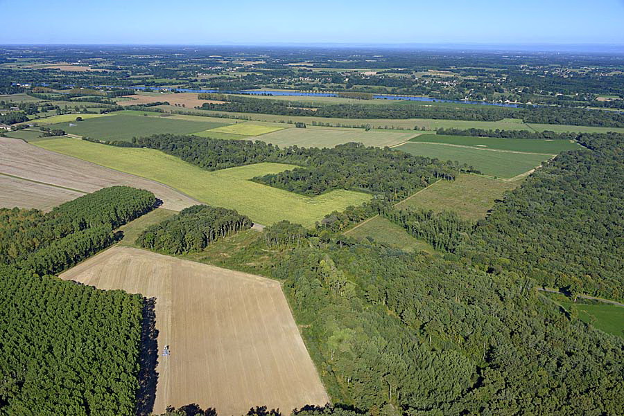 71agriculture-saone-et-loire-58-0816