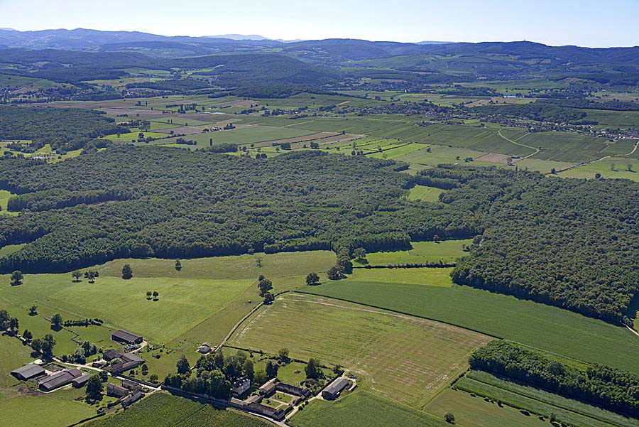 71agriculture-saone-et-loire-6-0816