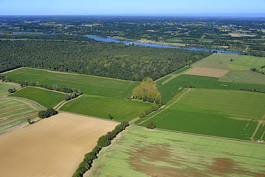 71agriculture-saone-et-loire-61-0816