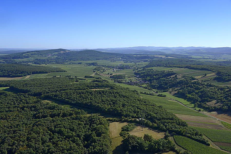 71agriculture-saone-et-loire-62-0816