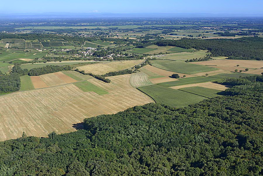 71agriculture-saone-et-loire-63-0816