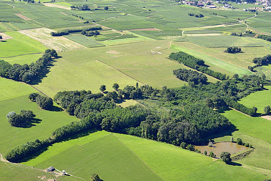 71agriculture-saone-et-loire-7-0816