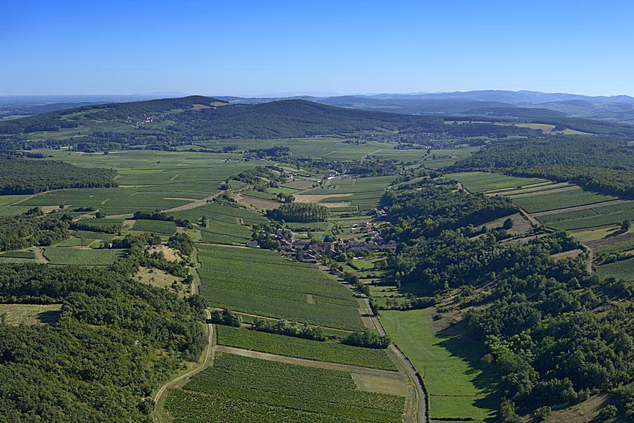 71viticulture-saone-et-loire-1-0816