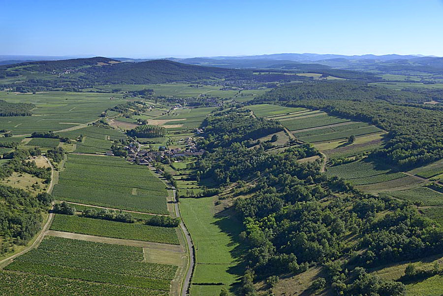 71viticulture-saone-et-loire-2-0816