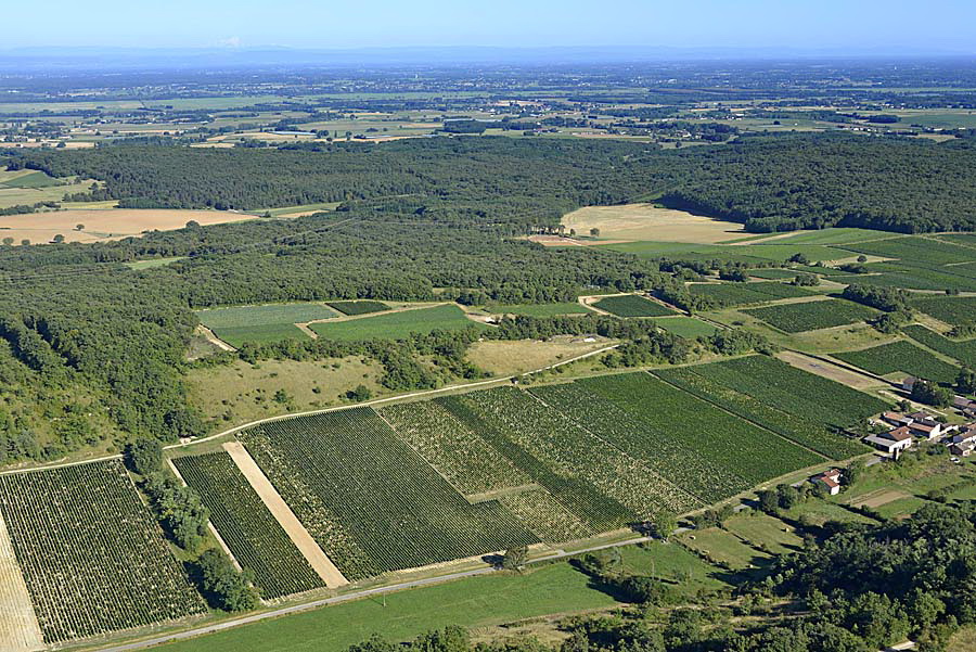 71viticulture-saone-et-loire-3-0816