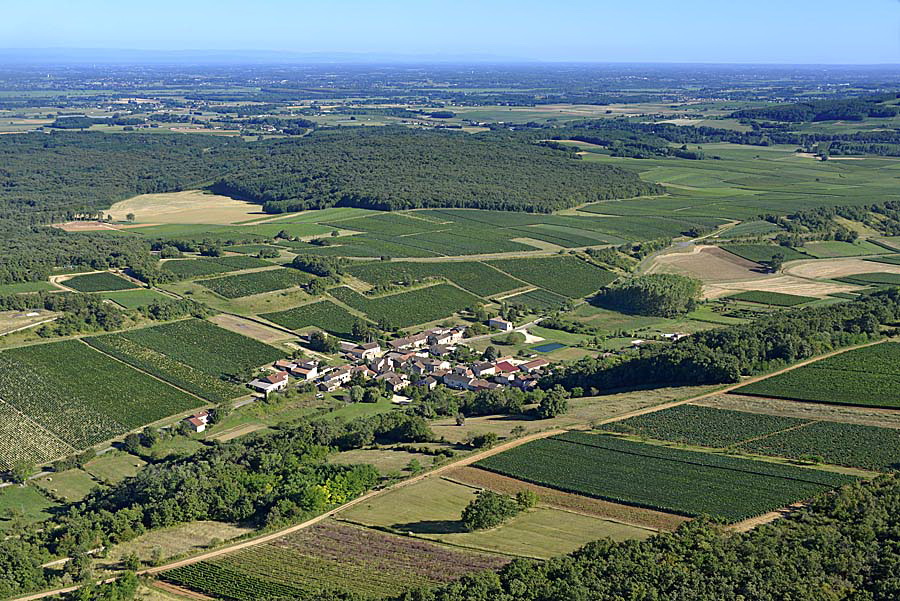 71viticulture-saone-et-loire-4-0816