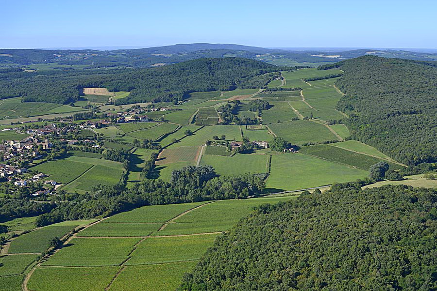 71viticulture-saone-et-loire-6-0816