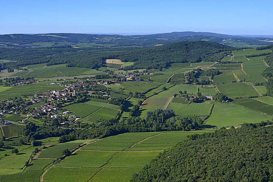 71viticulture-saone-et-loire-7-0816