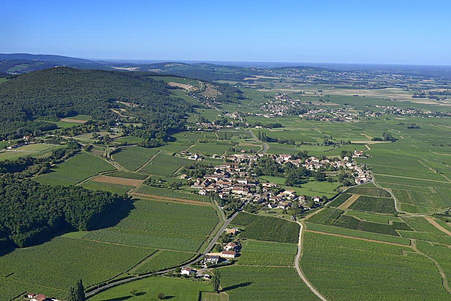 71viticulture-saone-et-loire-8-0816