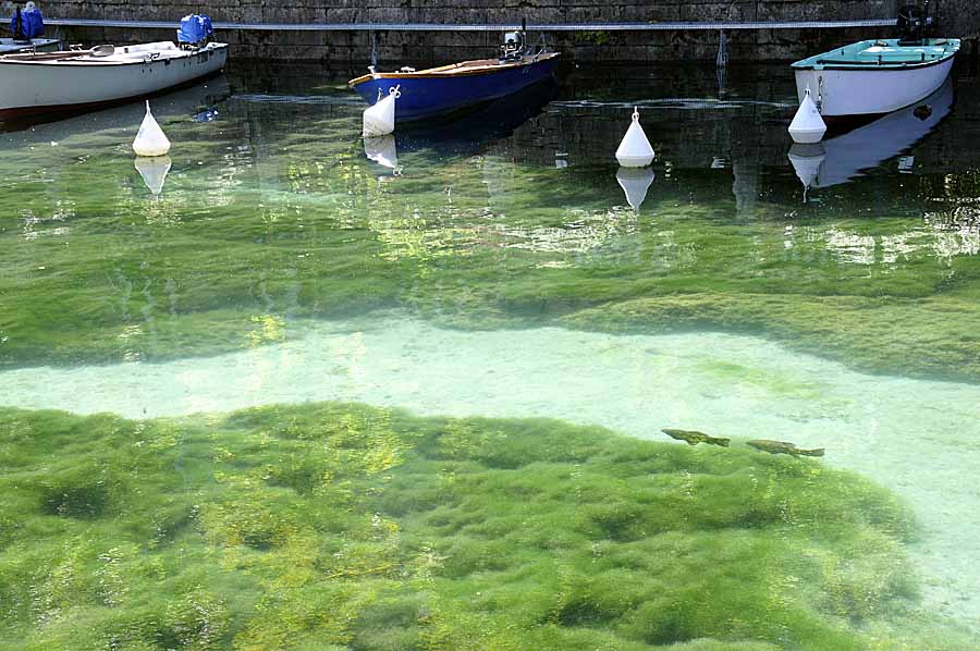 74annecy-lac-8-0808