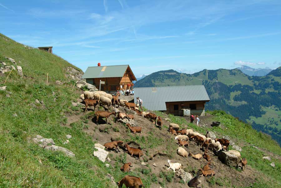 74refuge-trebentaz-2-0804