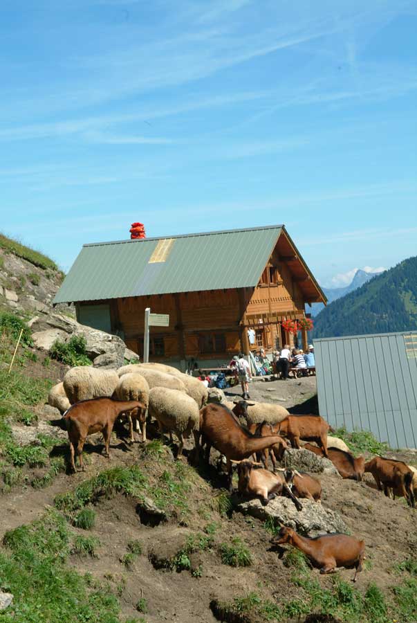 74refuge-trebentaz-7-0804