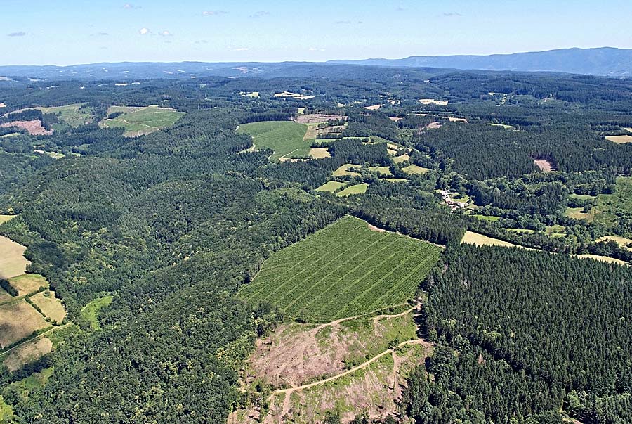 81agriculture-tarn-2-0707