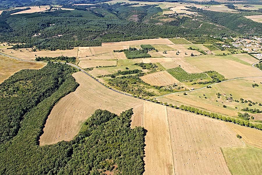 81agriculture-tarn-43-0707