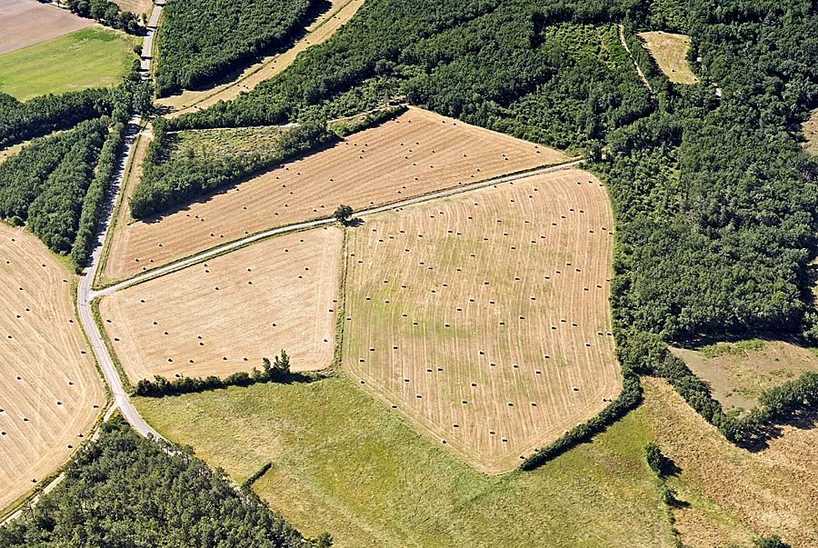 81agriculture-tarn-47-0707