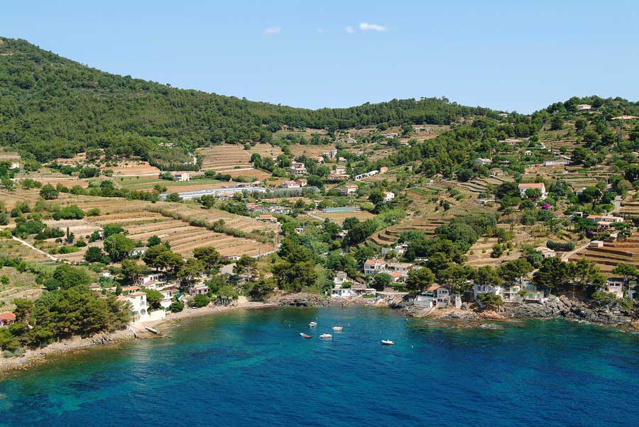 83carqueiranne-2-0704