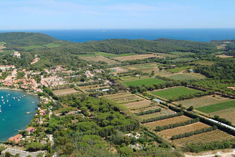 83ile-de-porquerolles-39-0704