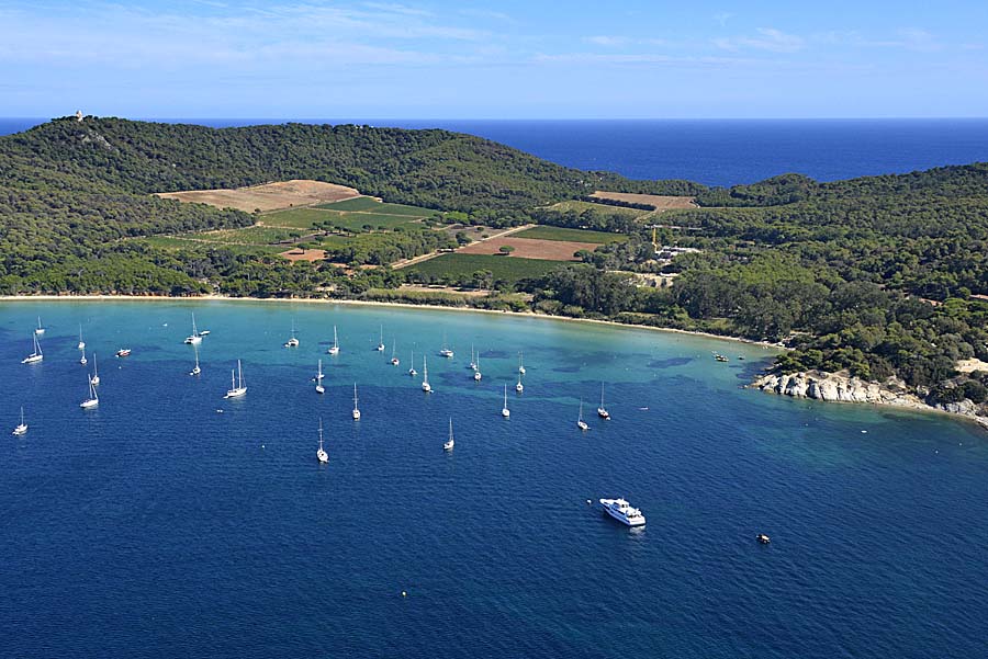 83ile-de-porquerolles-53-0916