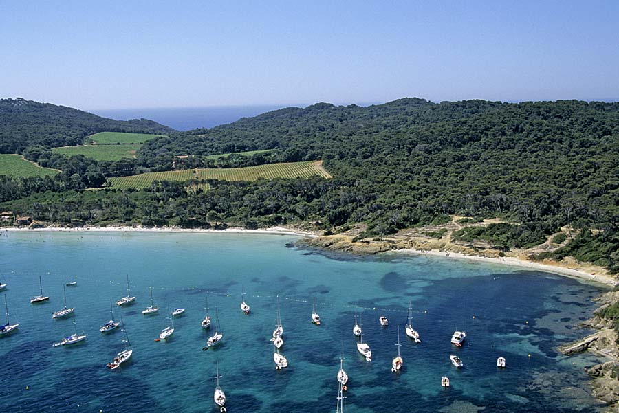 83ile-de-porquerolles-9-e98