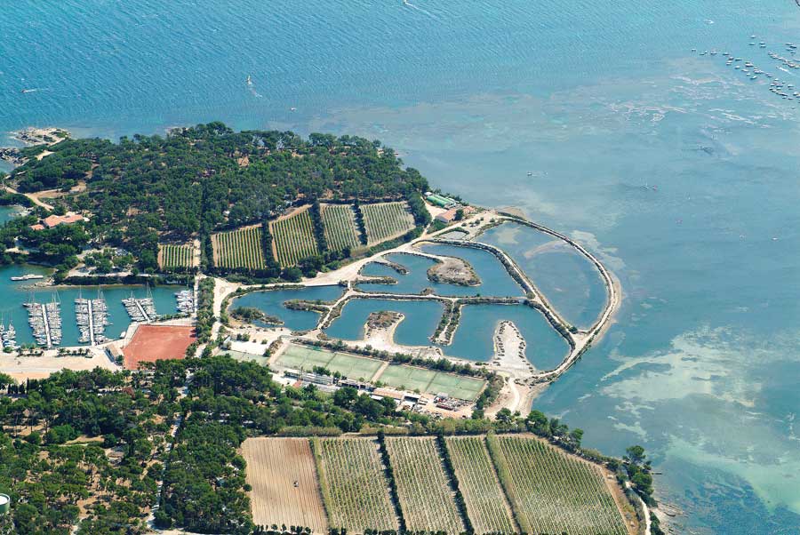 83ile-des-embiez-19-0704