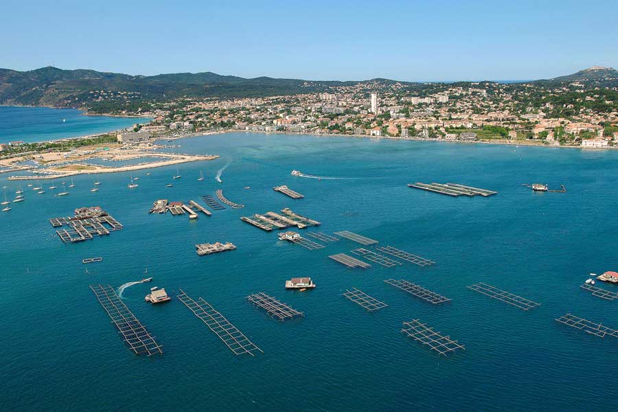 83la-seyne-sur-mer-57-0704