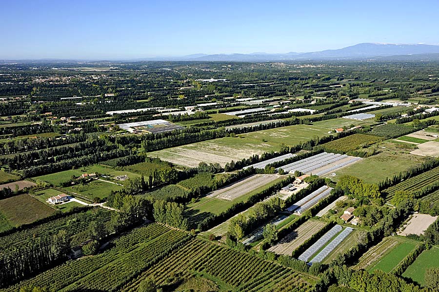 84agriculture-vaucluse-11-0911