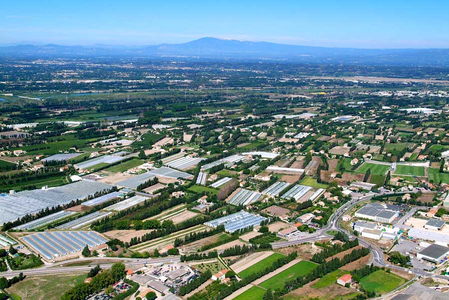 84agriculture-vaucluse-14-0806