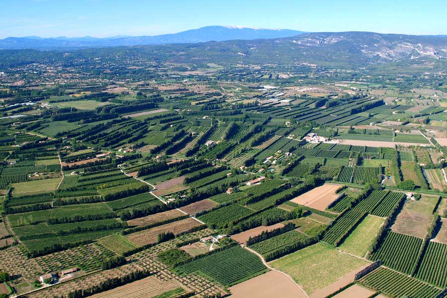 84agriculture-vaucluse-19-0806