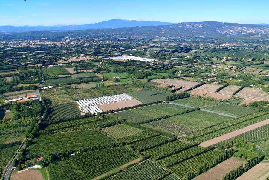 84agriculture-vaucluse-20-0806