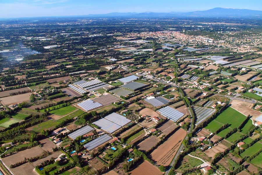 84agriculture-vaucluse-28-0806