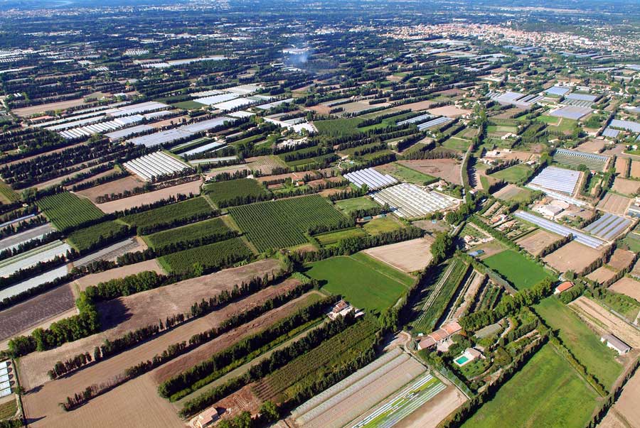 84agriculture-vaucluse-30-0806