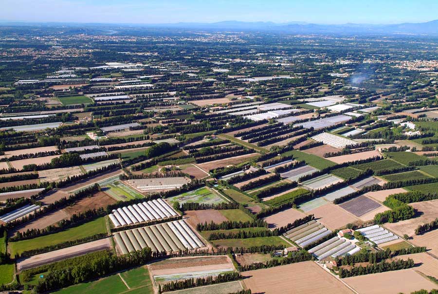 84agriculture-vaucluse-31-0806